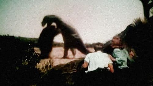 Insel des Grauens Bild 3