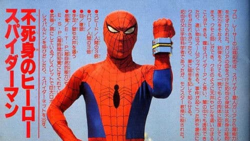 Spider-Man Bild 1