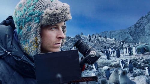 Auf ins Abenteuer mit Bertie Gregory Bild 4