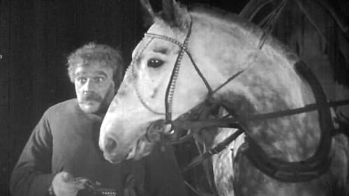 Нічний візник Bild 1