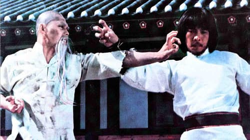 Die Vollstrecker der Ninja Bild 2