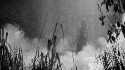 怪猫　呪いの沼 Bild 1