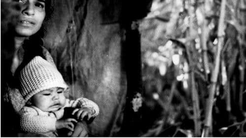 De ida y vuelta Bild 1