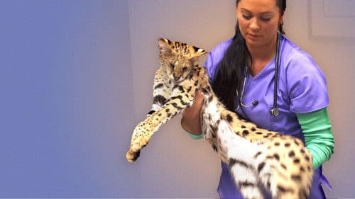 Tier Notaufnahme Bild 8