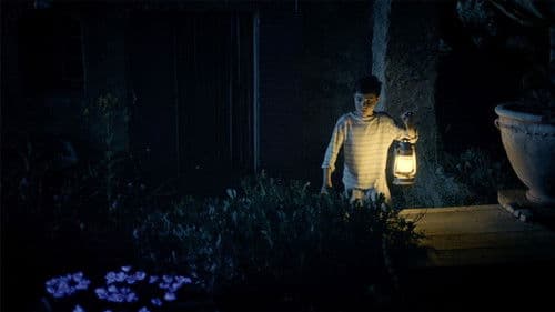 Ma famille et le loup Bild 3