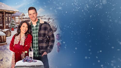 A Vineyard Christmas Bild 3