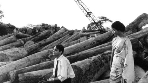 আকাশ কুসুম Bild 2