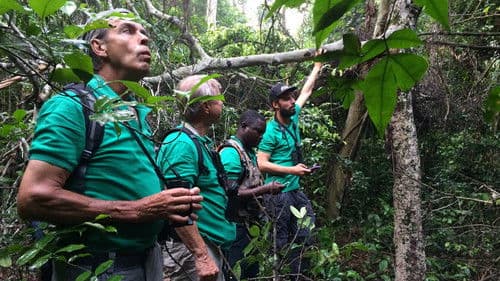 Arjan's Big Year Bild 7