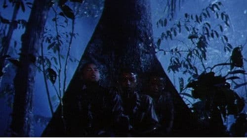 Poussières de vie Bild 2