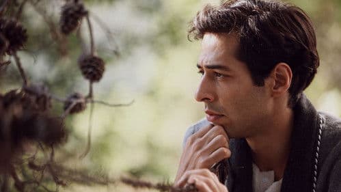 The Butterfly's Dream Bild 4