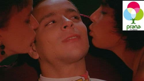 Aulas Muito Particulares Bild 1