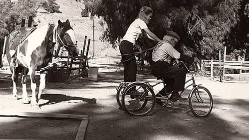 Der Verrückte mit dem Spielzeugtick Bild 1