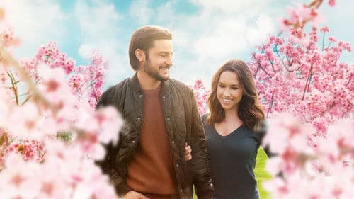 Sweet Carolina Bild 7