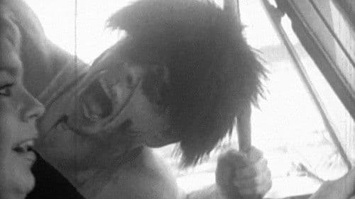 Passion in the Sun Bild 1