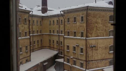 Släpp fångarne loss - det är vår! Bild 6