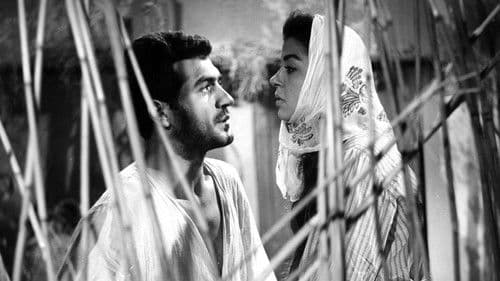 Yılanların Öcü Bild 3