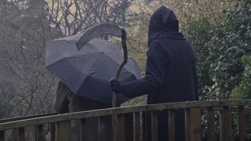 Death and Taxation Bild 1