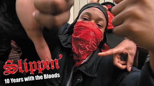Slippin': Ten Years with the Bloods Bild 1