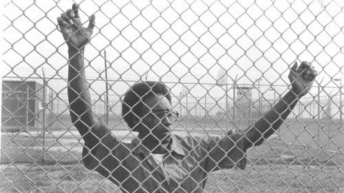 Fourteen Days in May Bild 3