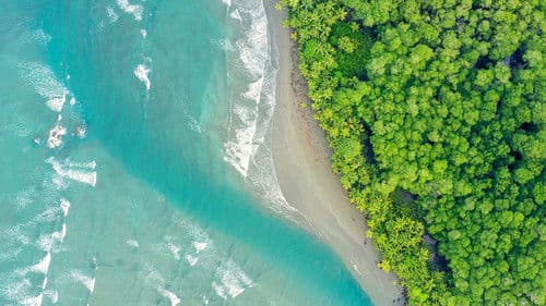 Costa Rica : Le réveil de la nature Bild 1