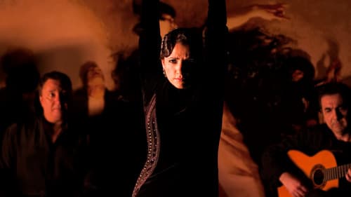 Flamenco Flamenco Bild 4