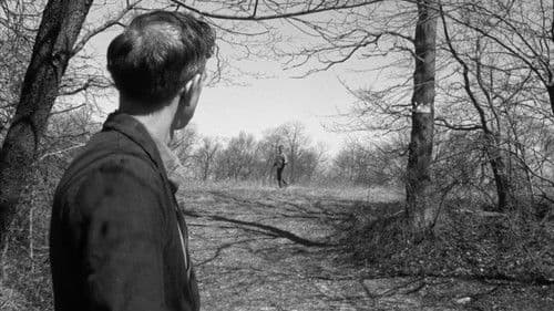 Time of the Heathen Bild 8