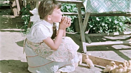 Менін атым Кожа Bild 3