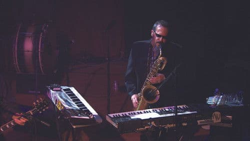 Los Lobos - Kiko Live Bild 1