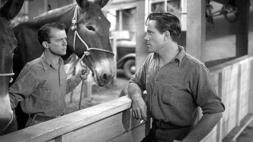 Scudda Hoo! Scudda Hay! Bild 1