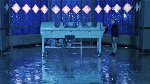 Im Glaskäfig Bild 1