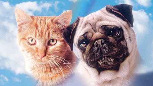 Miez und Mops - Zwei tierische Freunde Bild 1