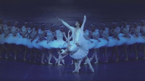 Tchaikovsky: Swan Lake Bild 1
