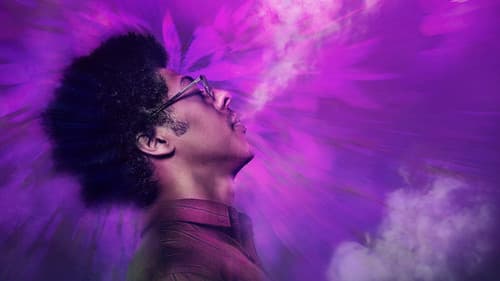 Pico da Neblina Bild 4