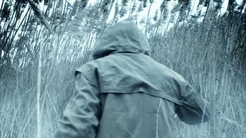 Два волка Алой принцессы Bild 2