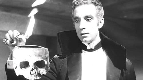 Der Sarg des Vampiro Bild 3