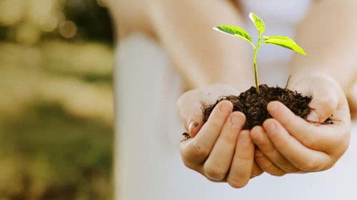 Kiss the Ground Bild 2