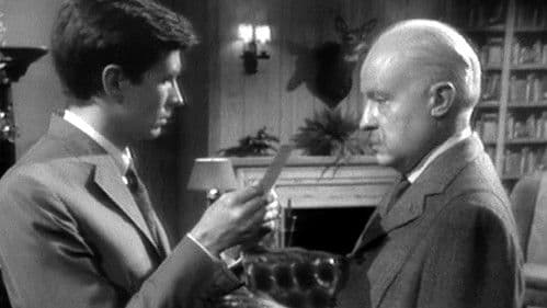 Evening Primrose Bild 5