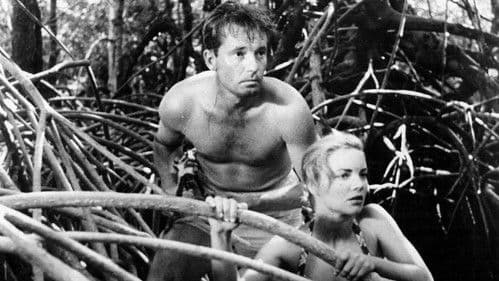 King of the Coral Sea Bild 1