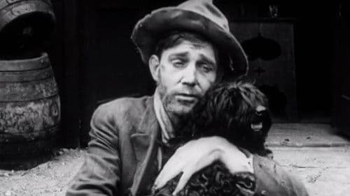 The Vagabonds Bild 3