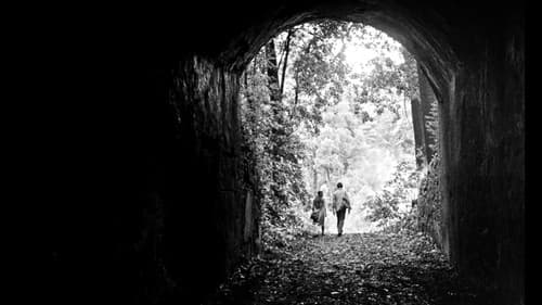 Frágil Como o Mundo Bild 7