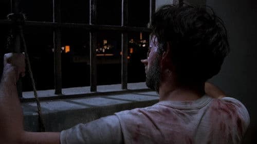 Kuß der Spinnenfrau Bild 8