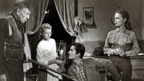 Der Tiger von Texas Bild 1