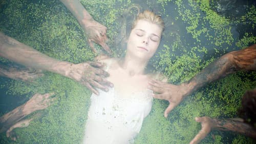 Wenn Bäume fallen Bild 4