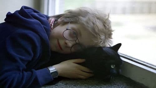 Die sieben Wünsche Bild 3