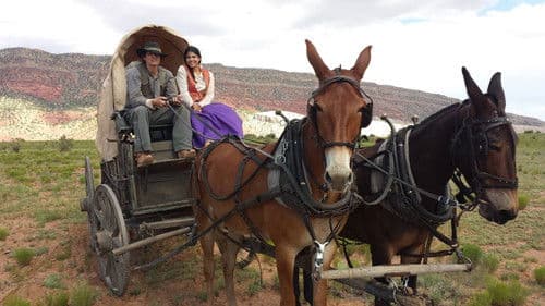 The Miller Prediction Bild 1