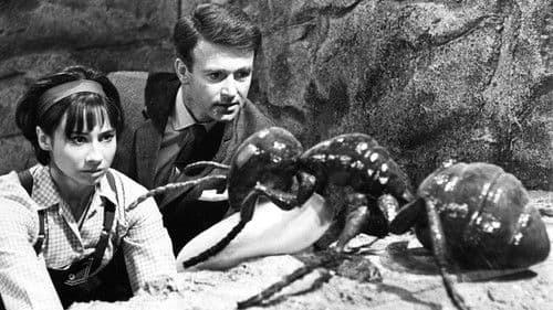 Doctor Who: Planet of Giants Bild 1