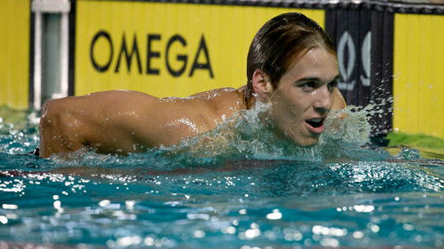 Die Goldschwimmer Bild 7