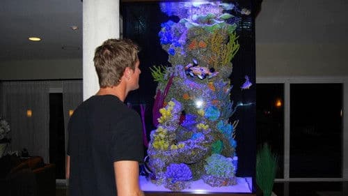 Fish Tank Kings Bild 2