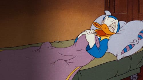 Schlafstörungen Bild 3