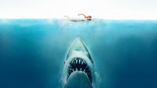 Der weiße Hai - Kultfilm mit Biss Bild 2